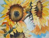 Here Comes The Sun